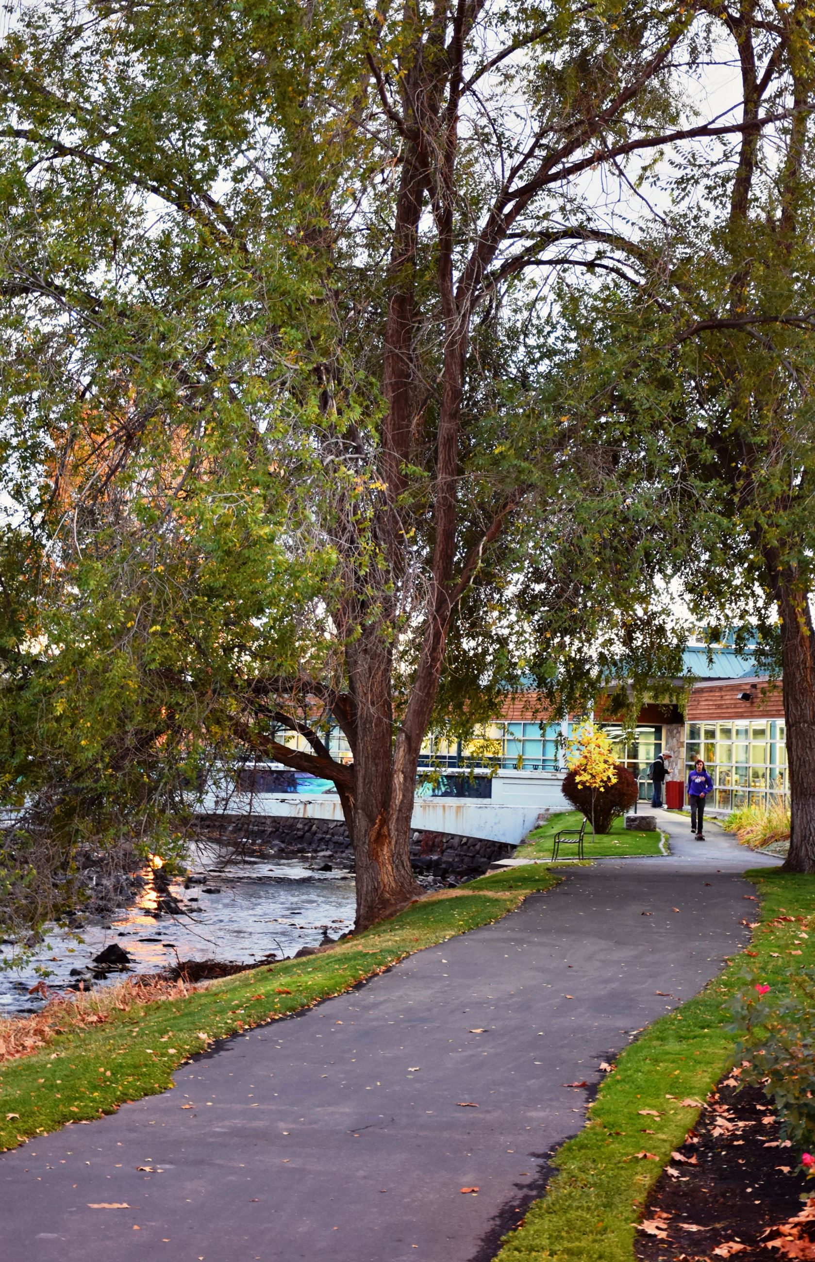 22915209554_bf48cd6c32_o