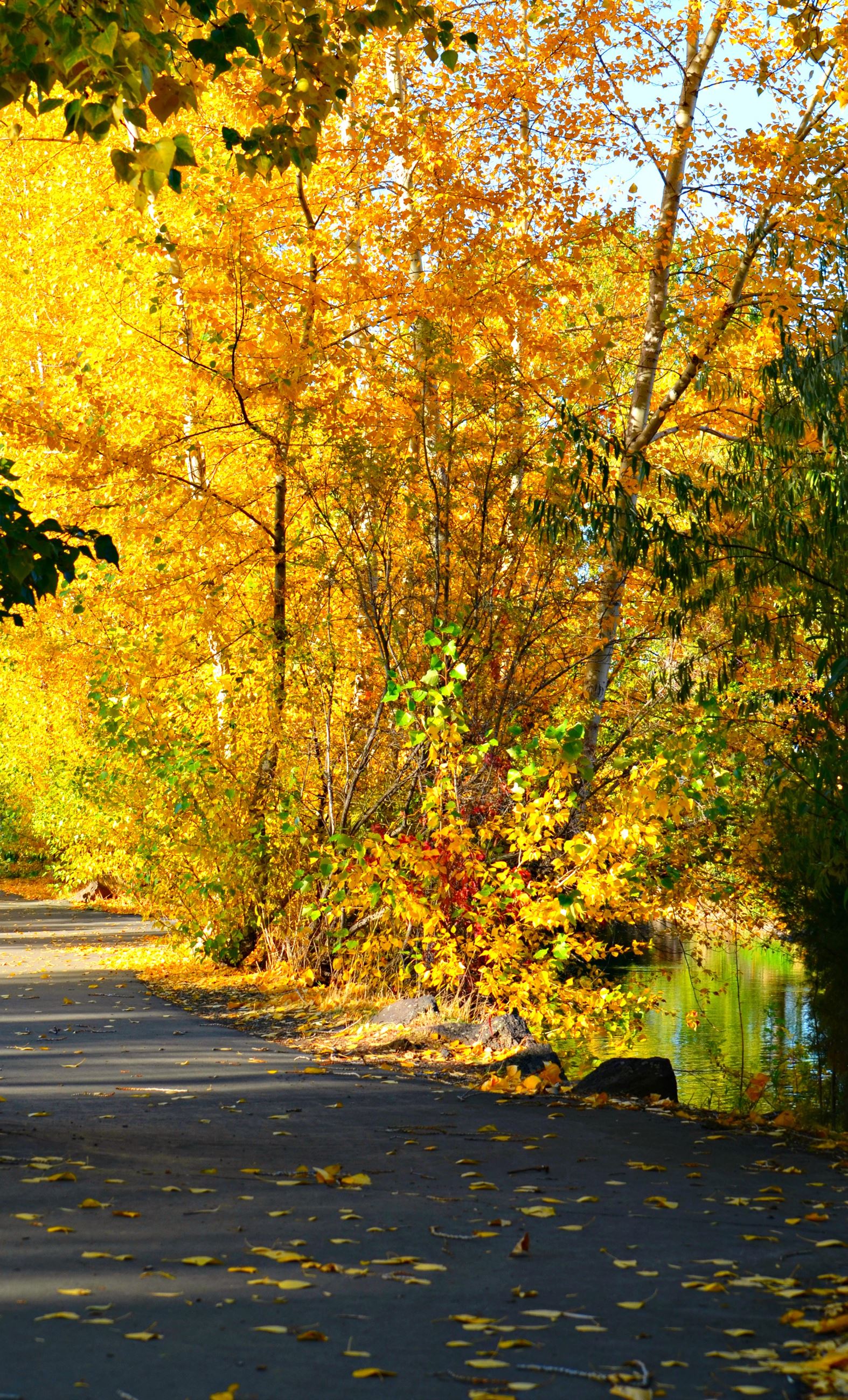 Leo Adler Memorial Parkway